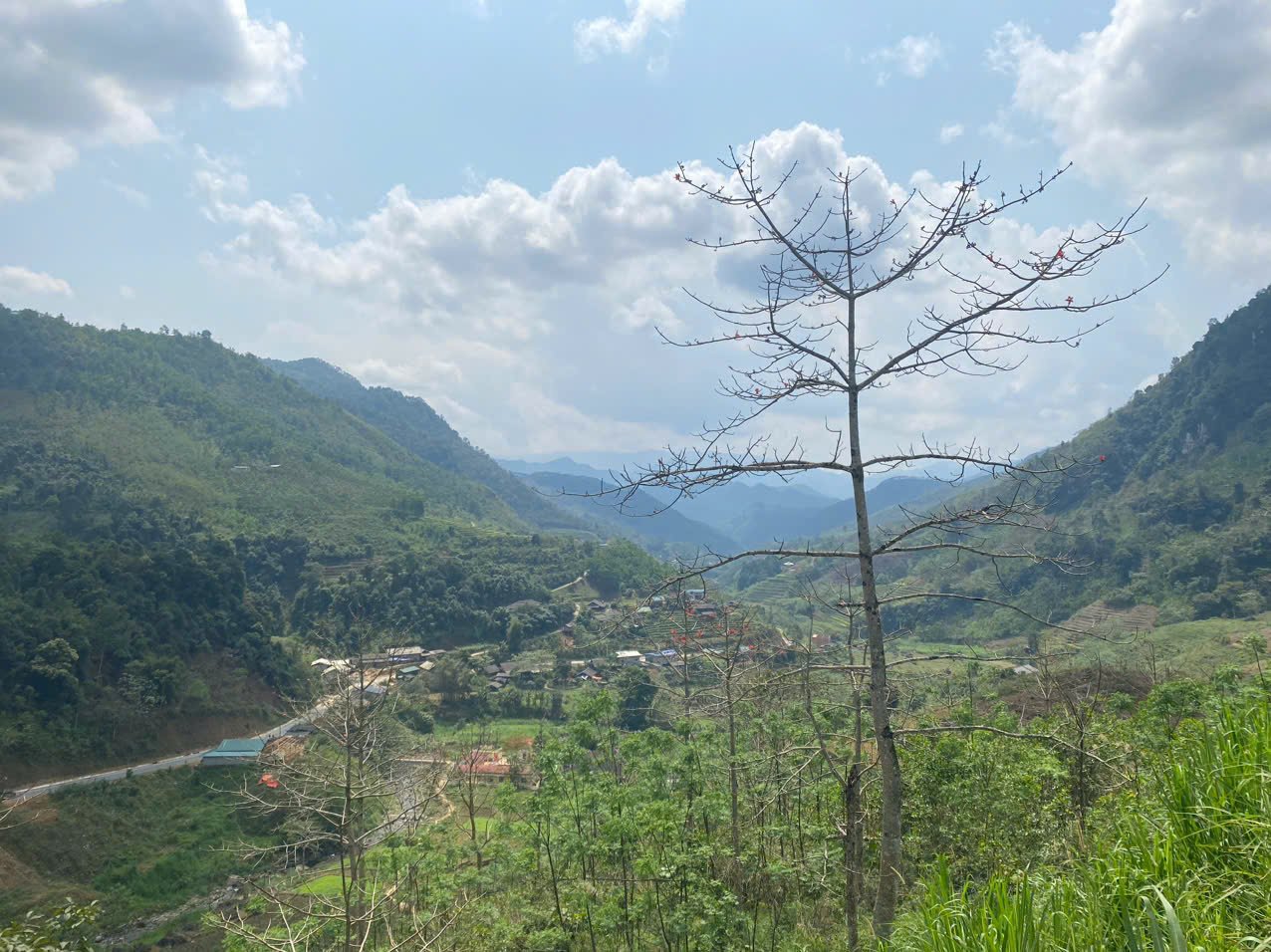 10-Day Ha Giang Loop & Hoang Su Phi Cycling Adventure